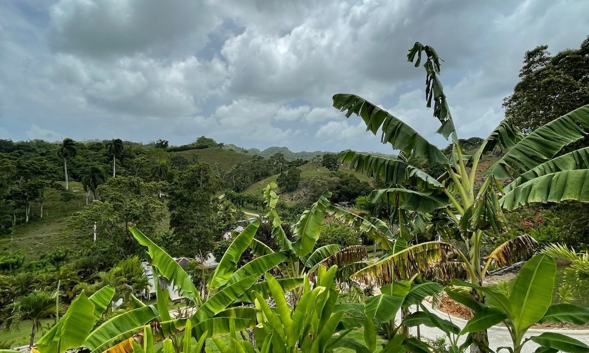 Photo of Outdoor in El Limon