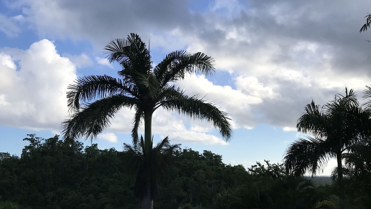 Photo of Outdoor in El Limon