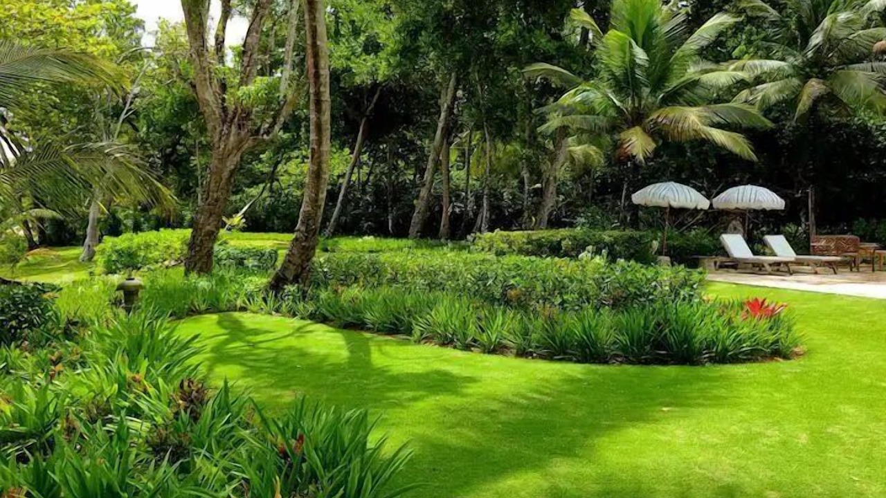 Photo of Outdoor in Rio San Juan