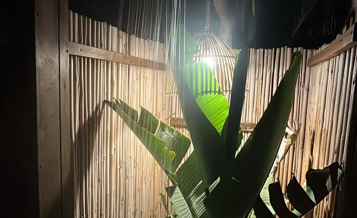 Photo of Others in Mastichari