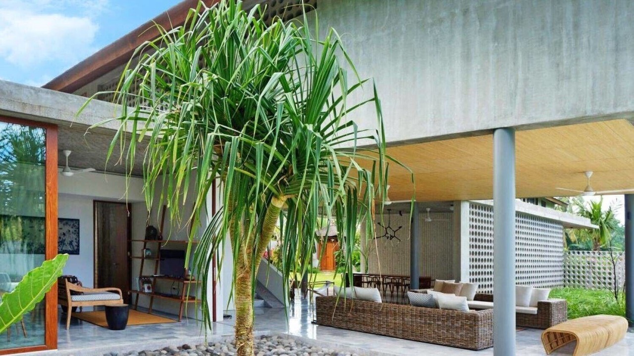 Photo of Patio Balcony in Saba