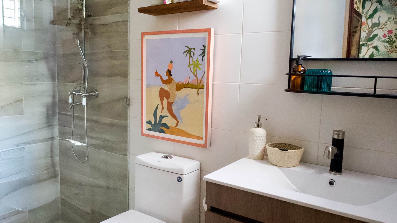 Photo of Bathroom in Santiago Province