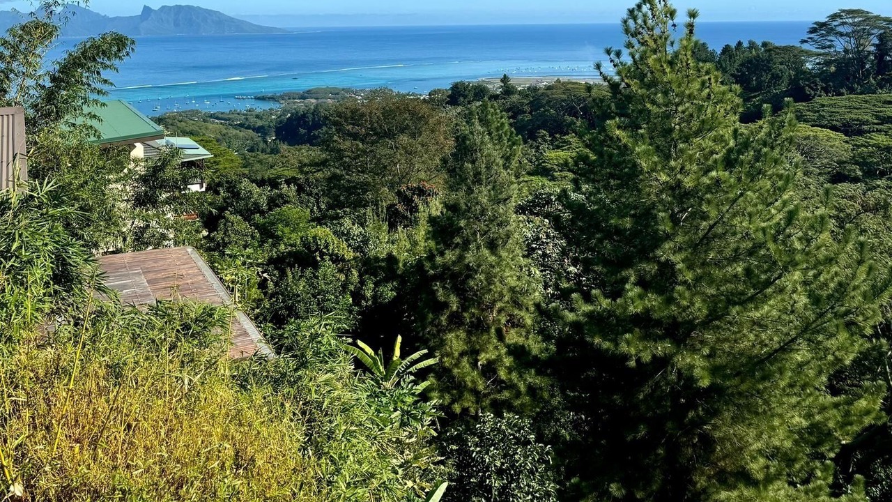 Photo of Others in Punaauia
