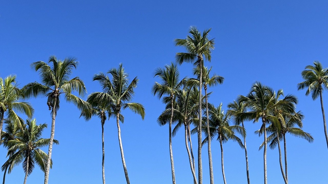 Photo of Others in Las Terrenas