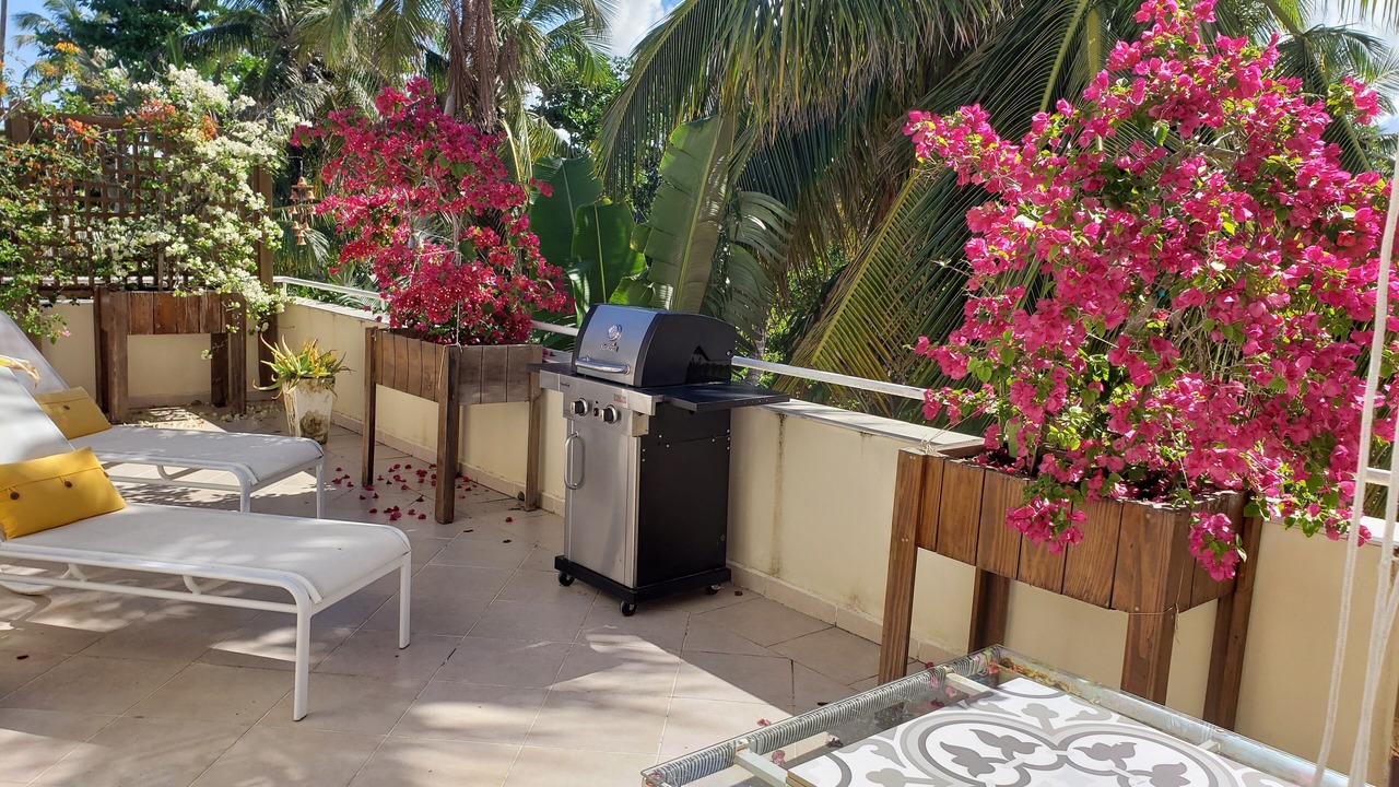 Photo of Outdoor in Puerto Bahia