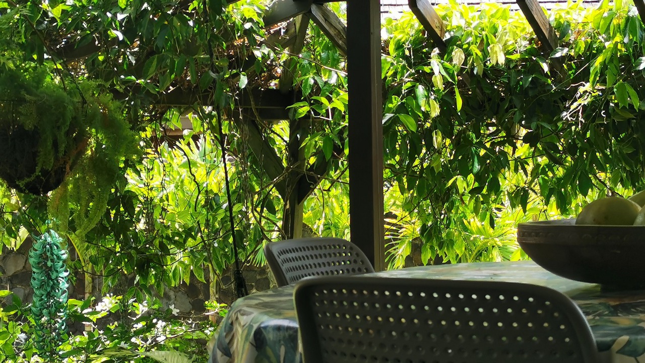 Photo of Outdoor in Afaahiti