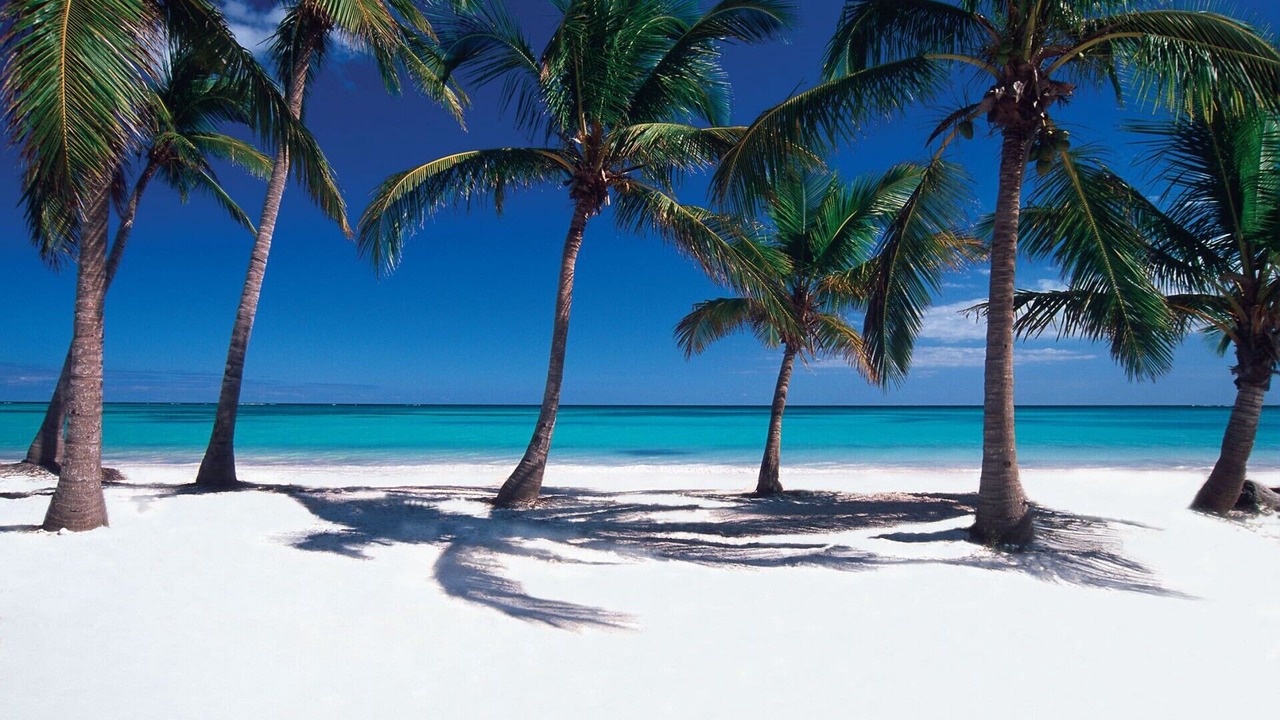 Photo of Others in Punta Cana