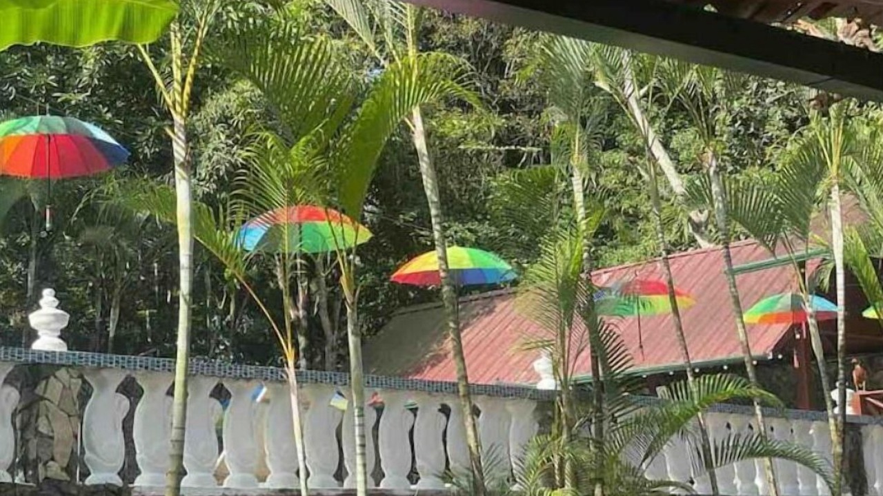 Photo of Outdoor in Pedro Brand