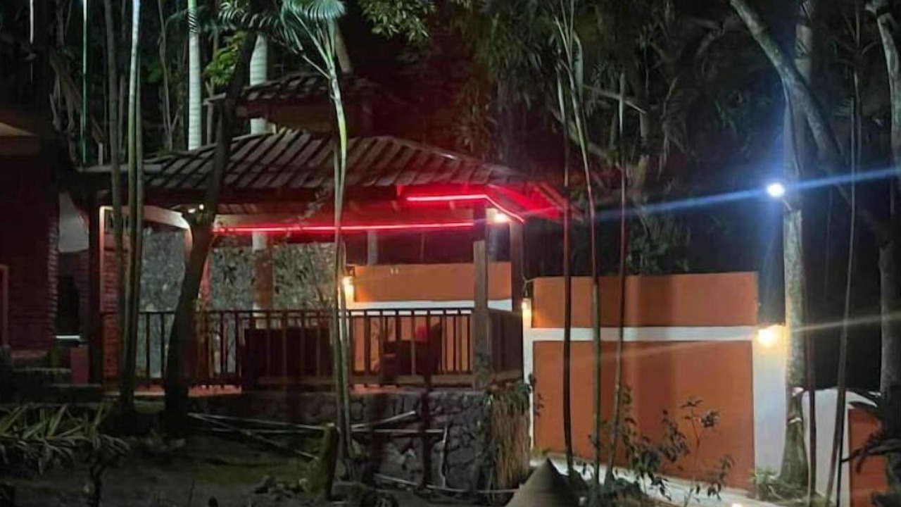 Photo of Outdoor in Pedro Brand