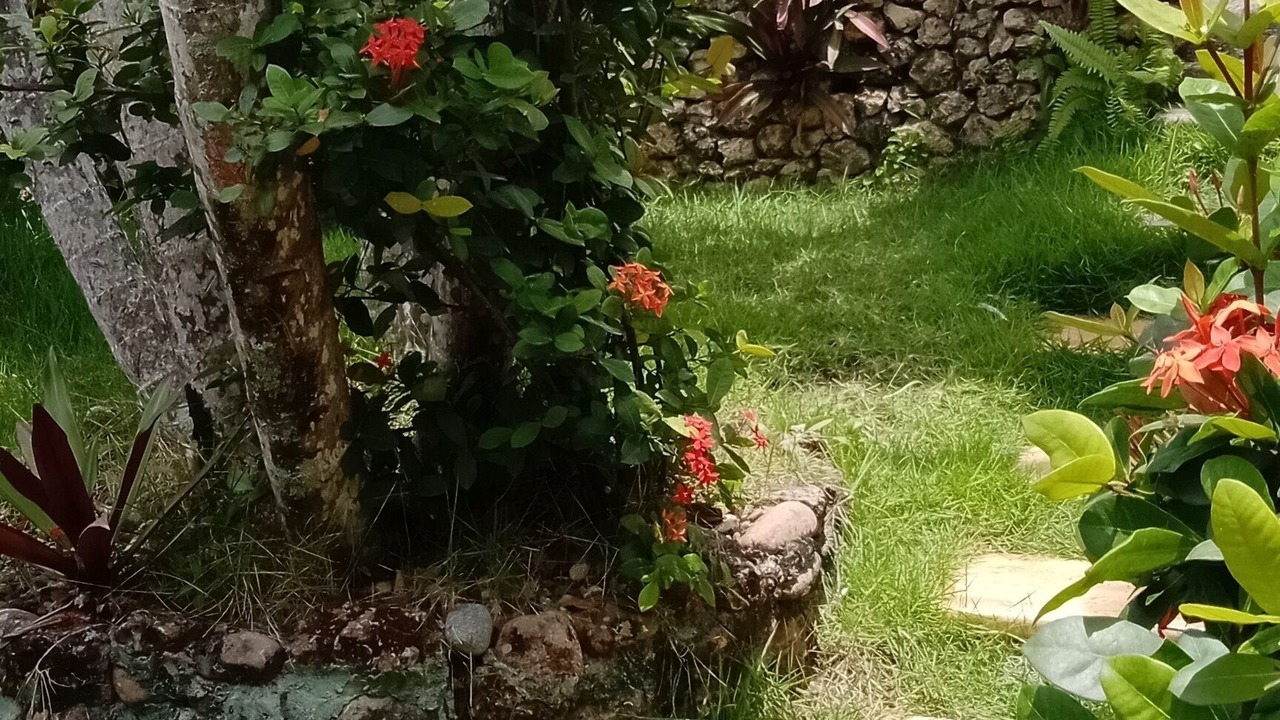 Photo of Outdoor in Cabarete