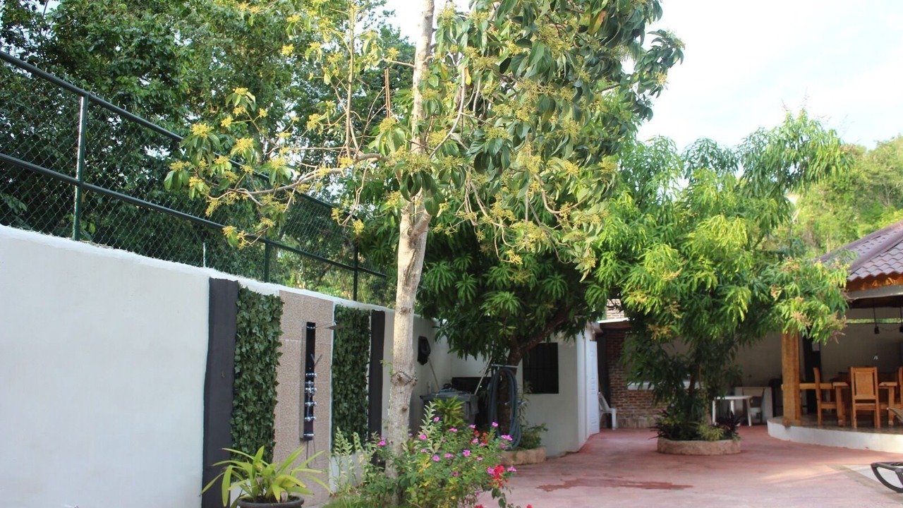 Photo of Patio Balcony in Imbert