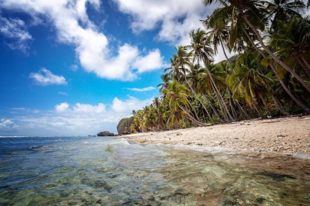 Photo of Others in Las Galeras