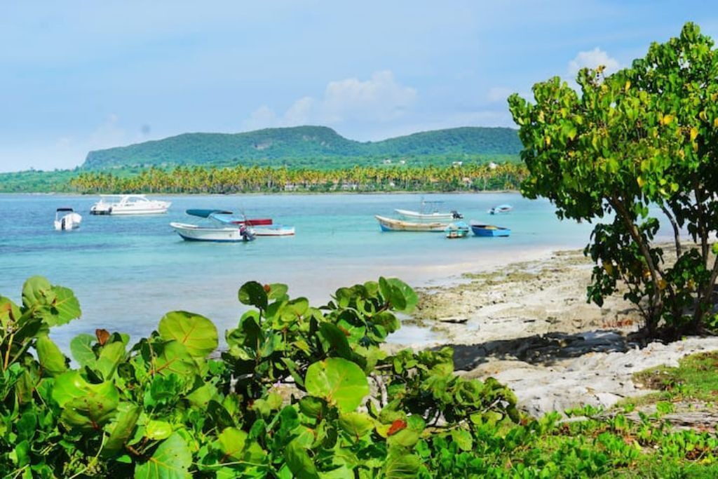 Photo of Others in Las Galeras