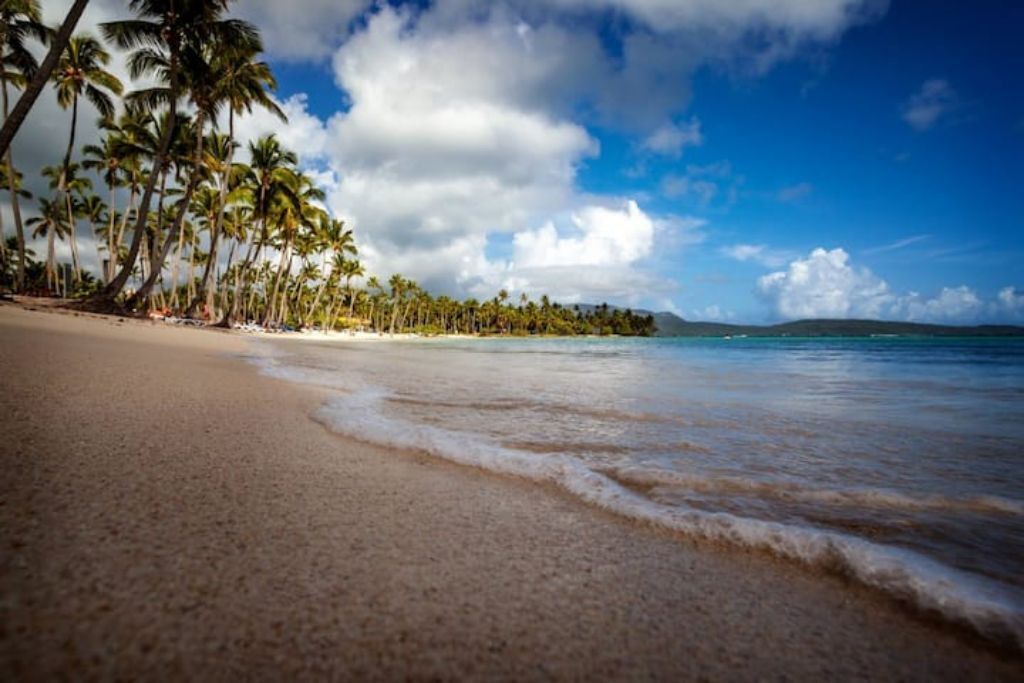 Photo of Others in Las Galeras