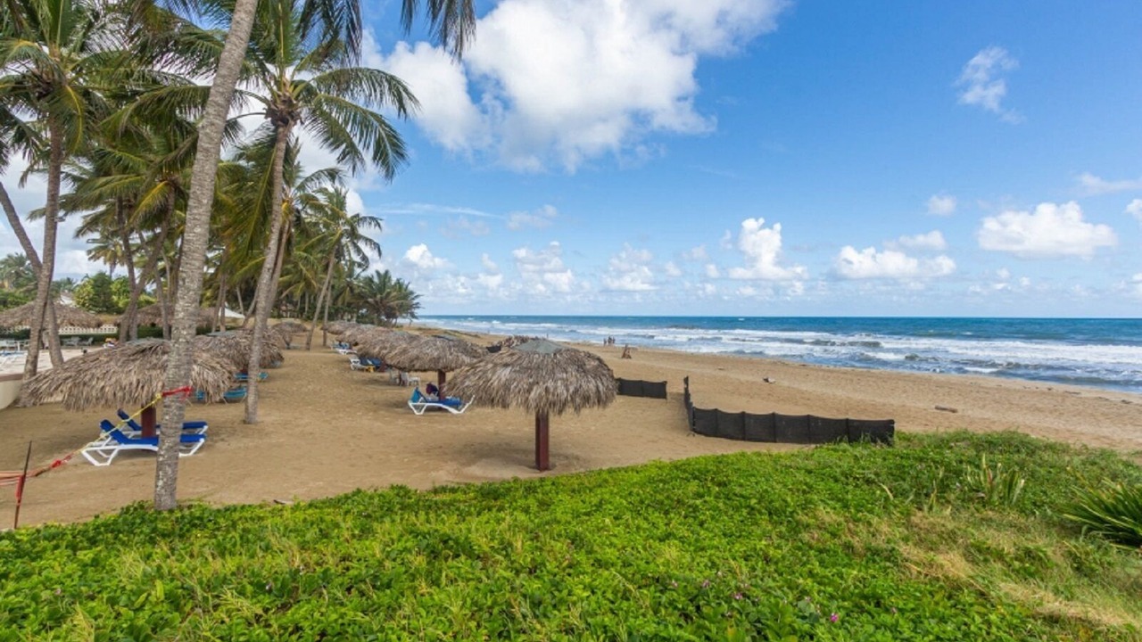 Photo of Others in Cabarete