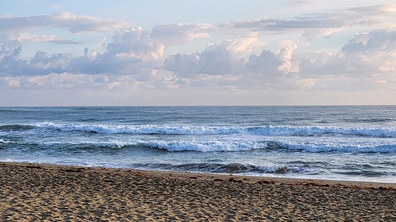 Photo of Others in Cabarete