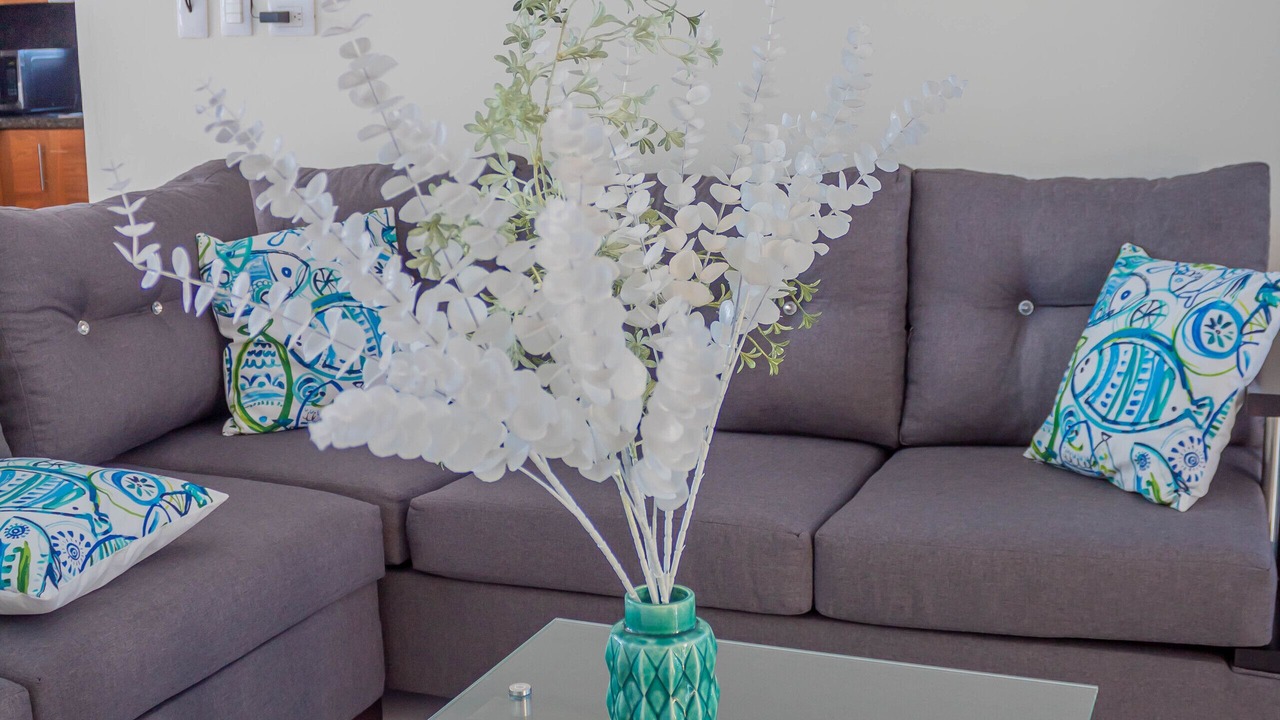 Photo of Livingroom in Cerro alto