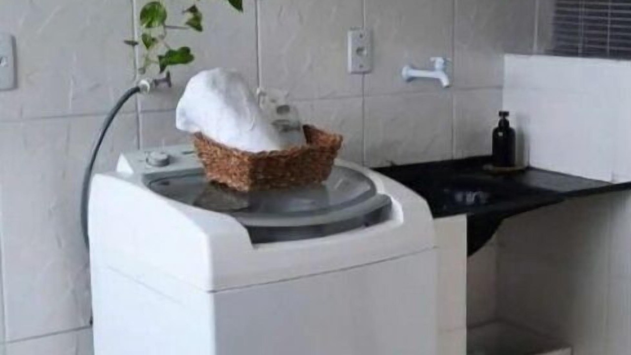 Photo of Bathroom in Bavaro