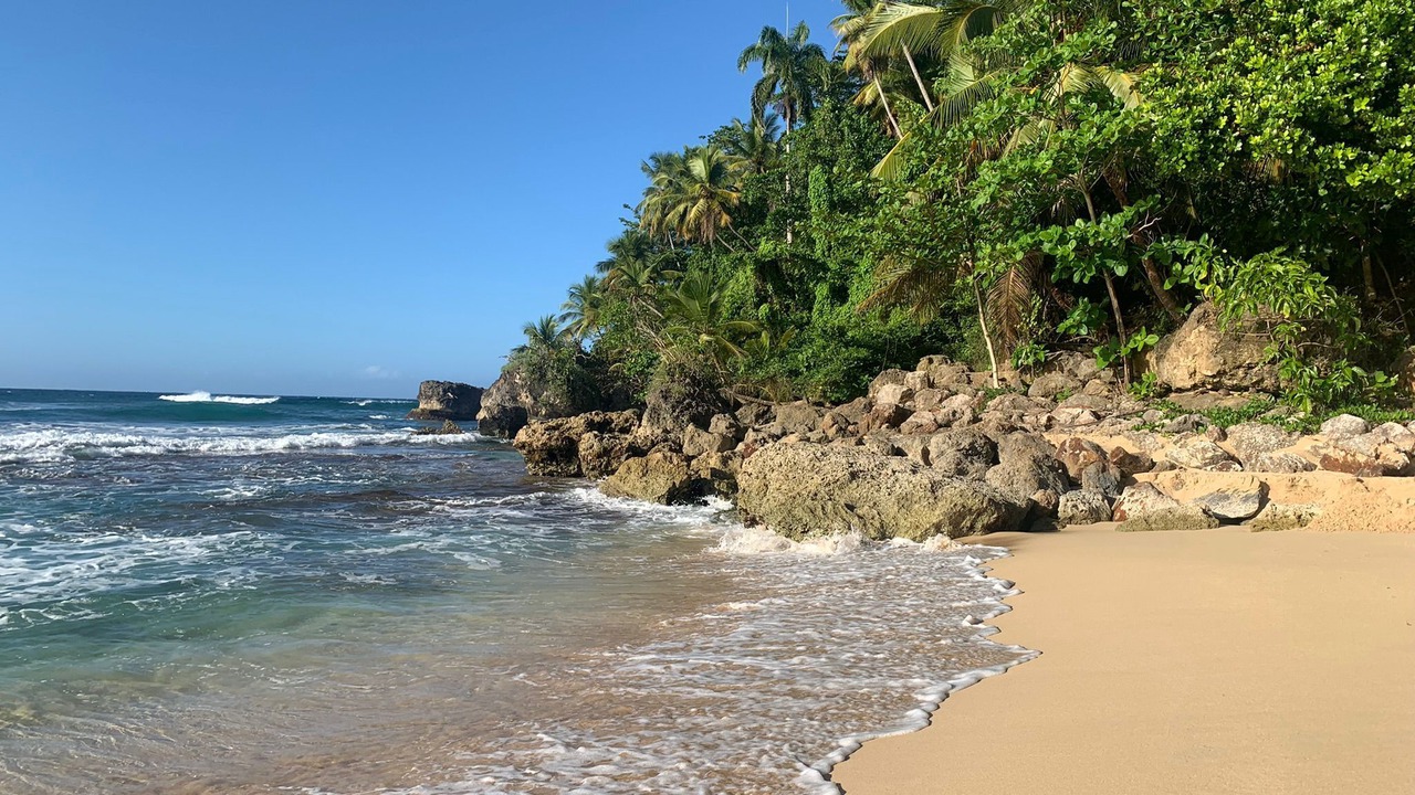 Photo of Others in Rio San Juan