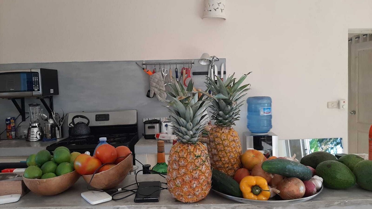Photo of Kitchen in Rio San Juan