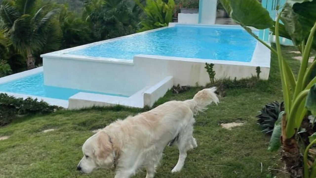 Photo of Outdoor in Rio San Juan