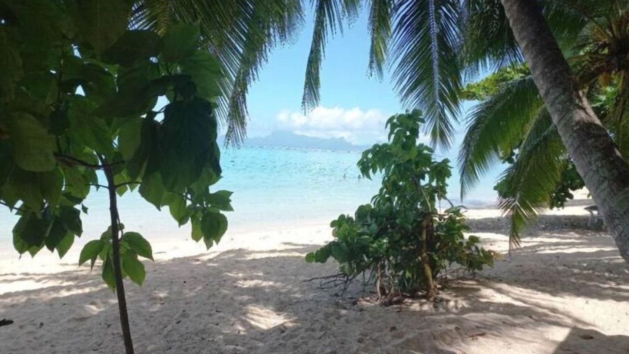 Photo of Others in Punaauia