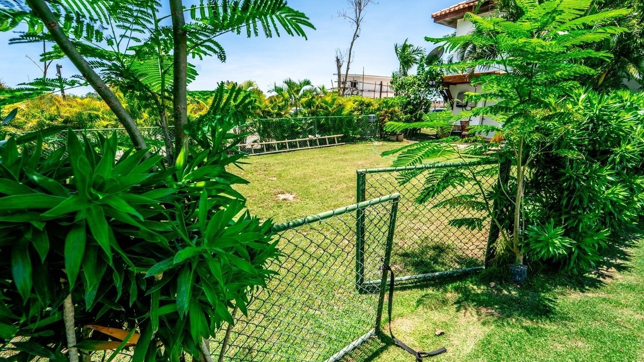 Photo of Outdoor in Higuey
