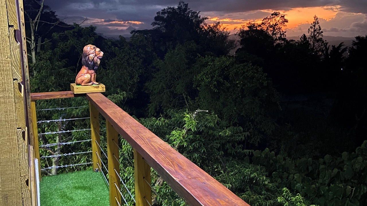Photo of Outdoor in Paso Bajito