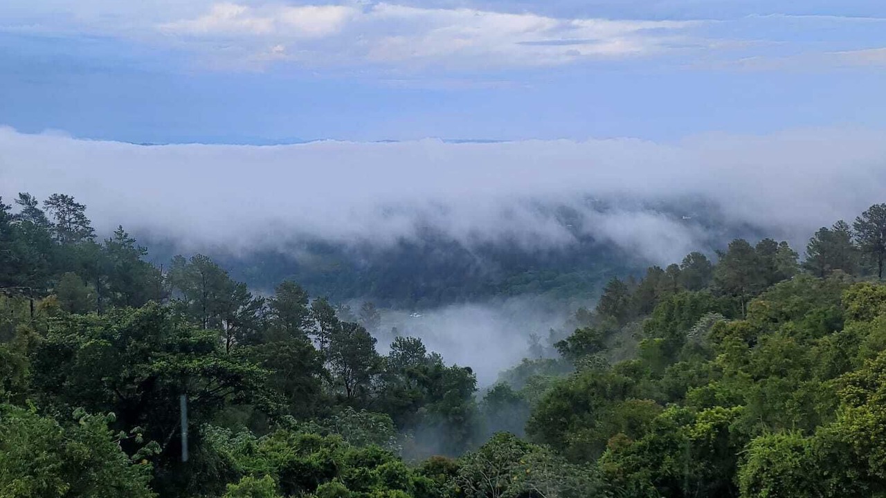 Photo of Outdoor in Paso Bajito