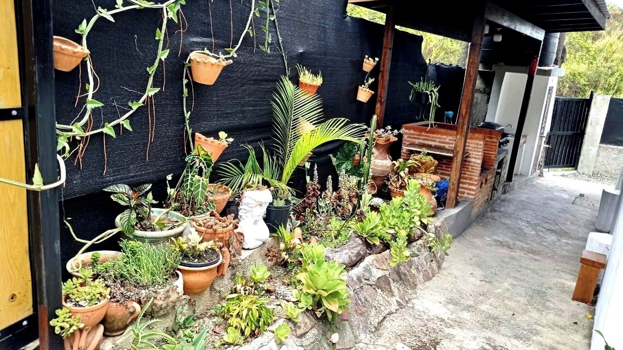 Photo of Outdoor in Paso Bajito