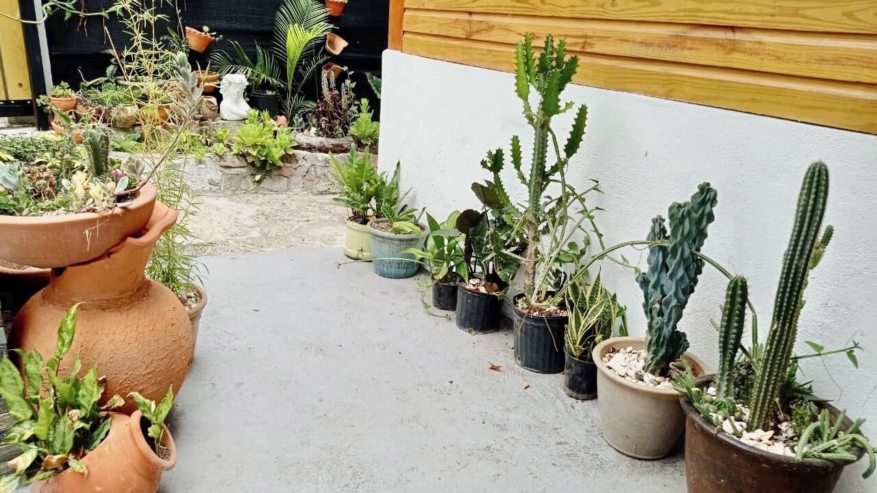 Photo of Outdoor in Paso Bajito