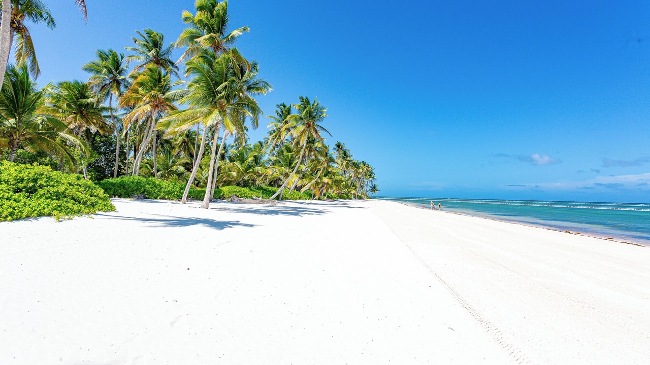 Photo of Others in Punta Cana Village