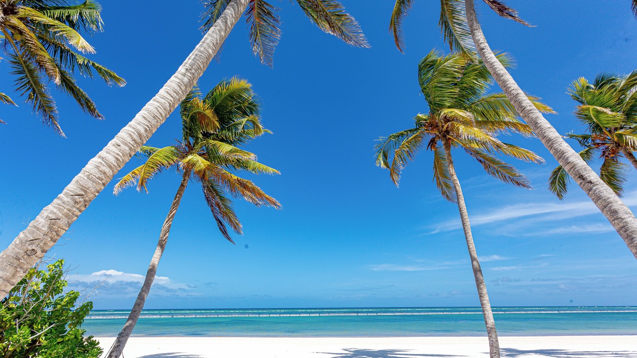 Photo of Others in Punta Cana Village