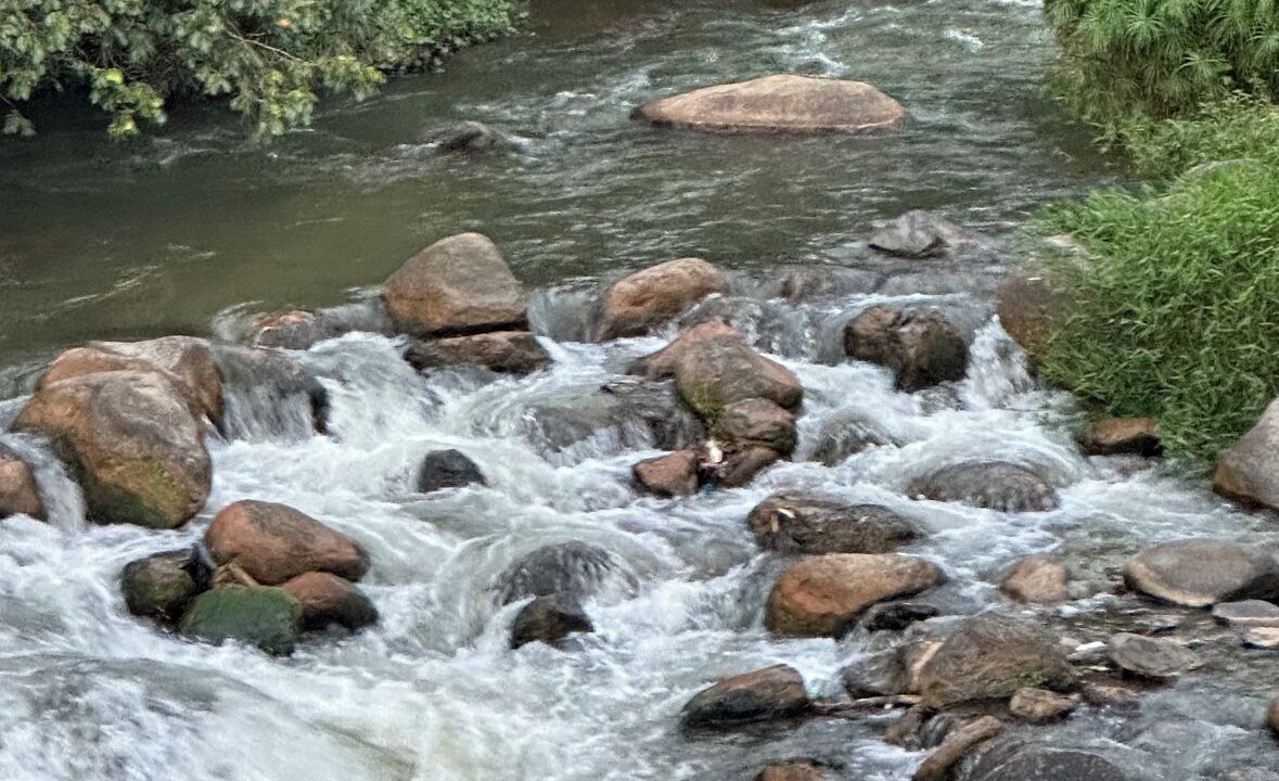 Photo of Outdoor in Moncion