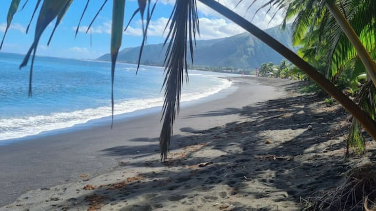 Photo of Others in Papara