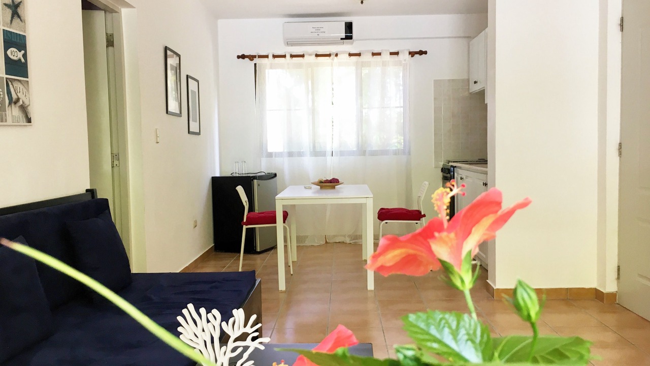 Photo of Livingroom in Playa Chiquita