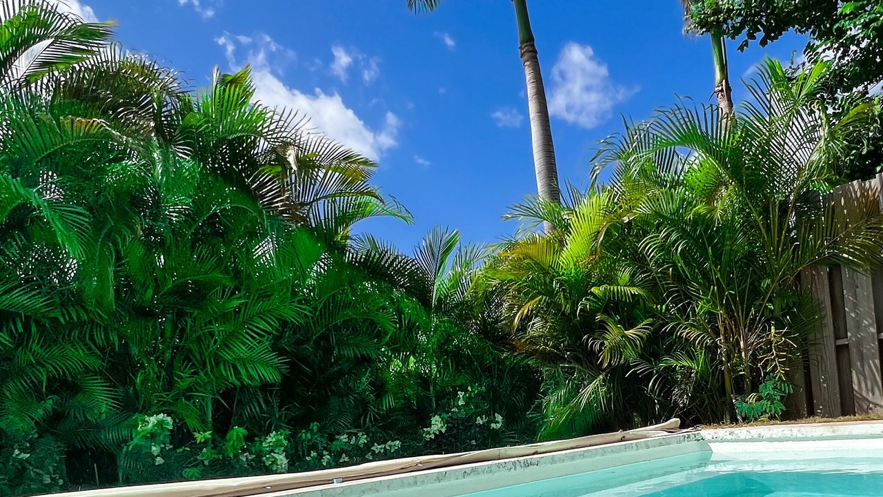 Photo of Outdoor in Casa de Campo