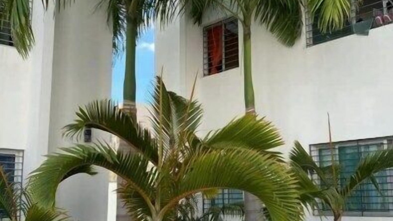 Photo of Outdoor in Santiago de los Caballeros