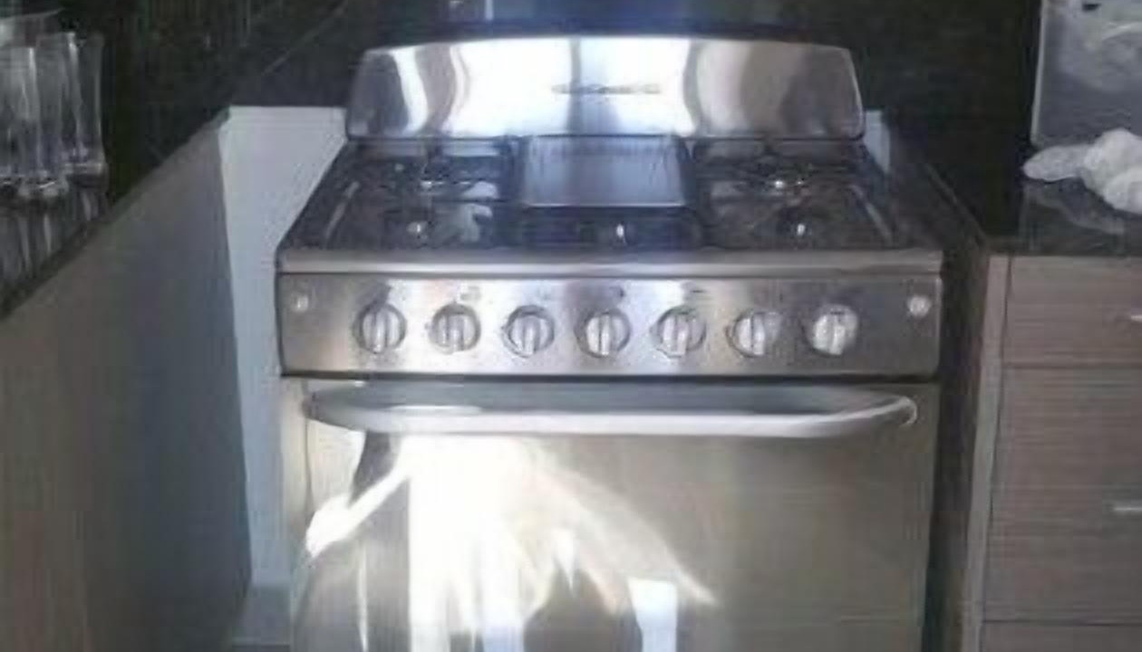 Photo of Kitchen in Santiago Province