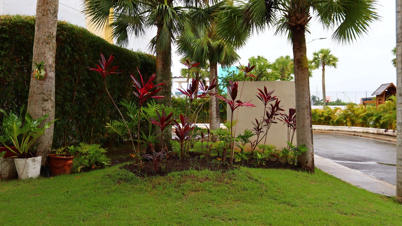 Photo of Outdoor in Cerro Alto
