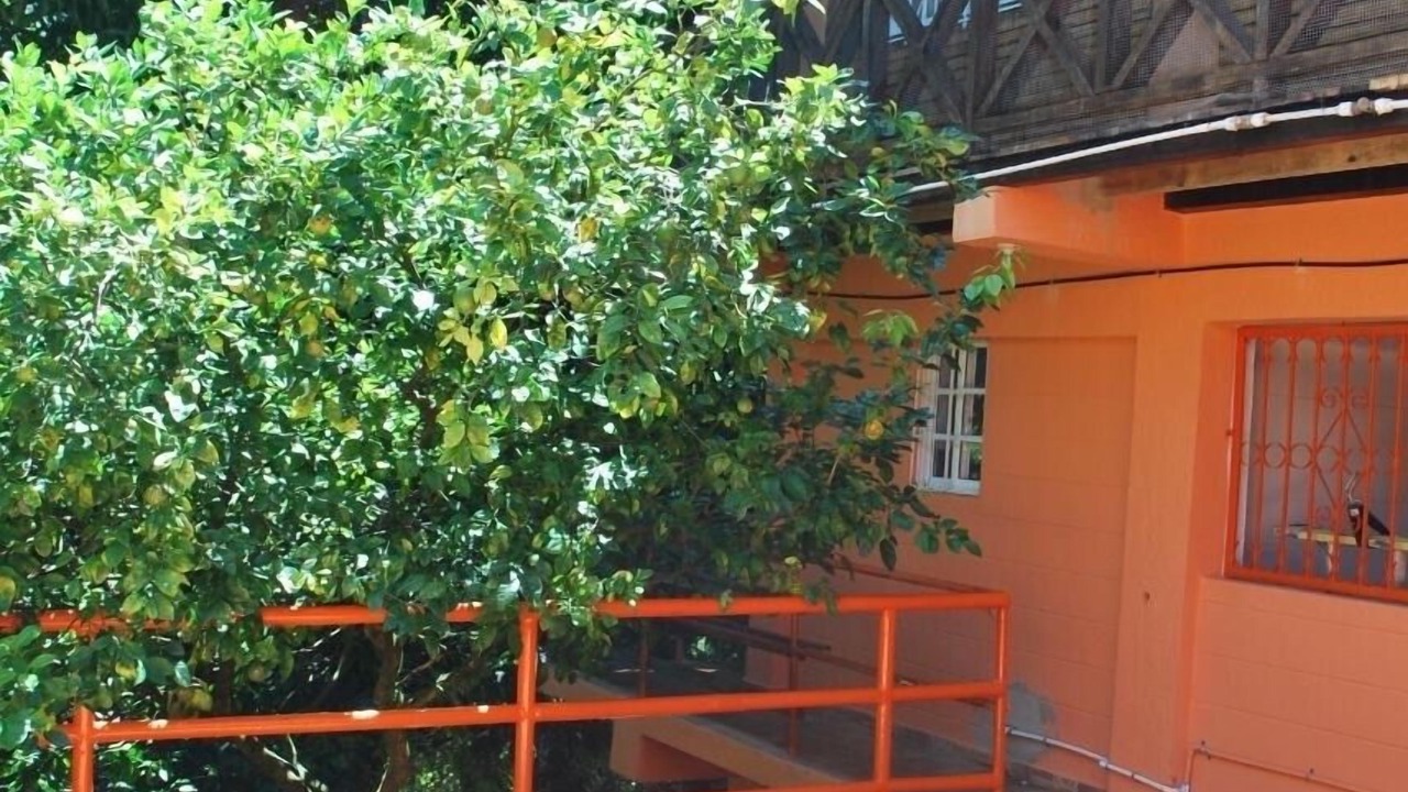 Photo of Outdoor in Jarabacoa