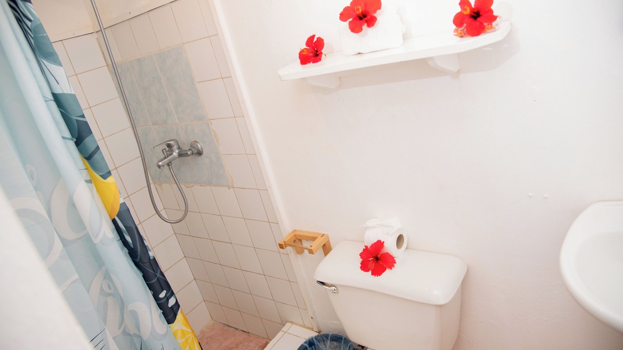 Photo of Bathroom in Las Galeras