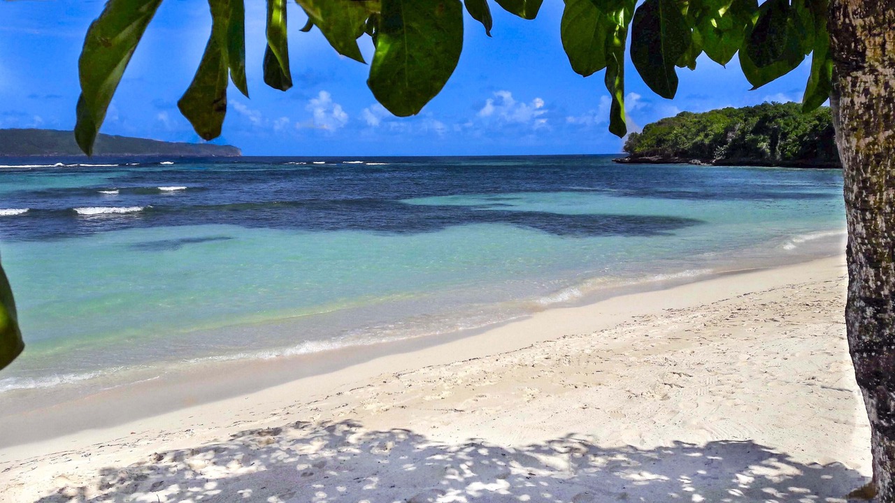 Photo of Others in Las Galeras