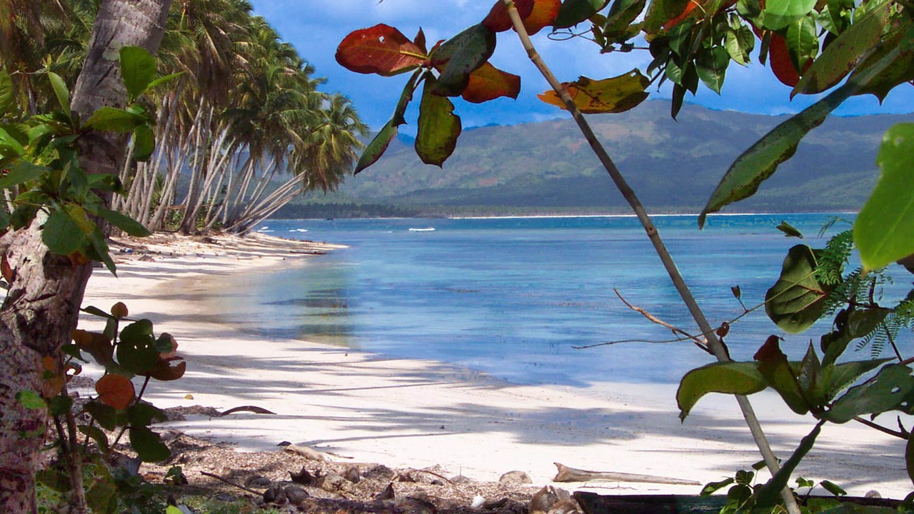 Photo of Others in Las Galeras
