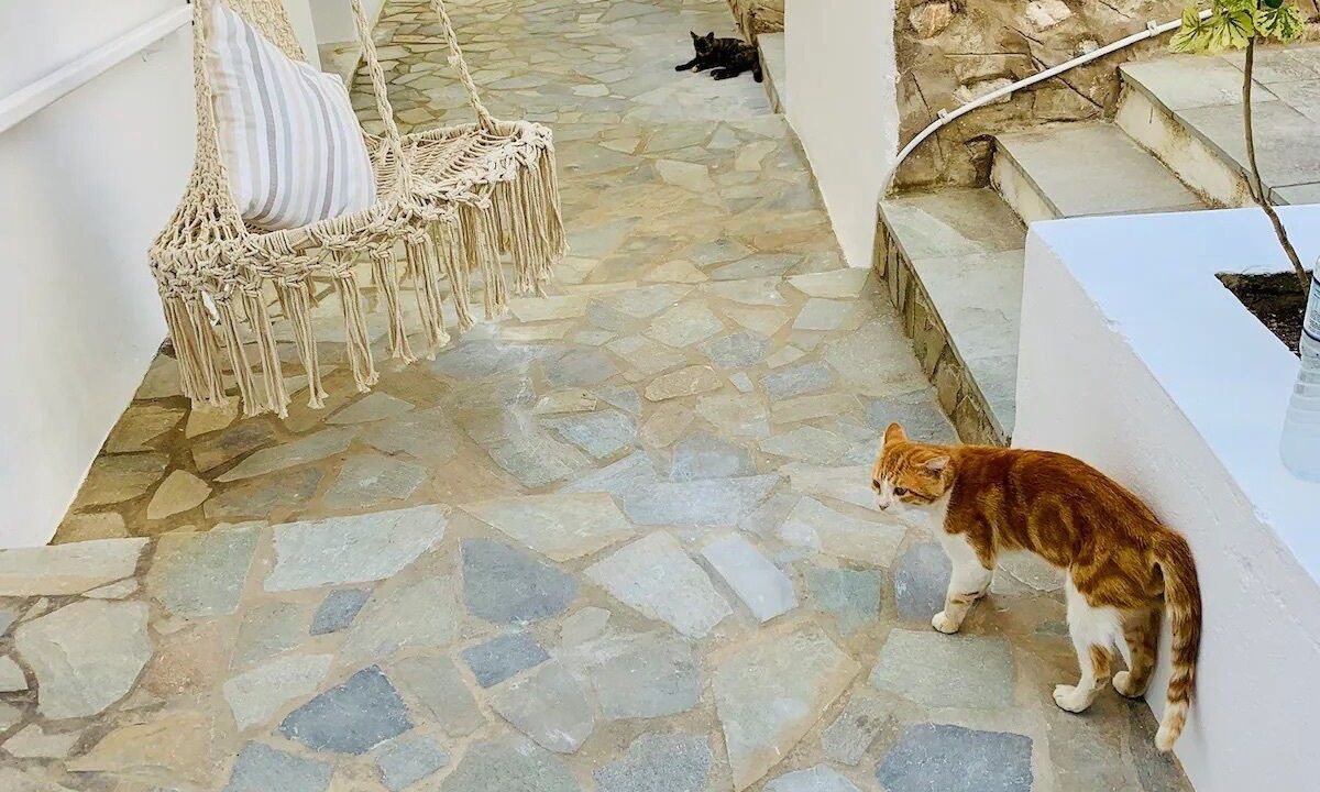 Photo of Outdoor in Posidonia