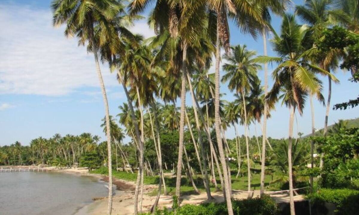 Photo of Others in Sanchez