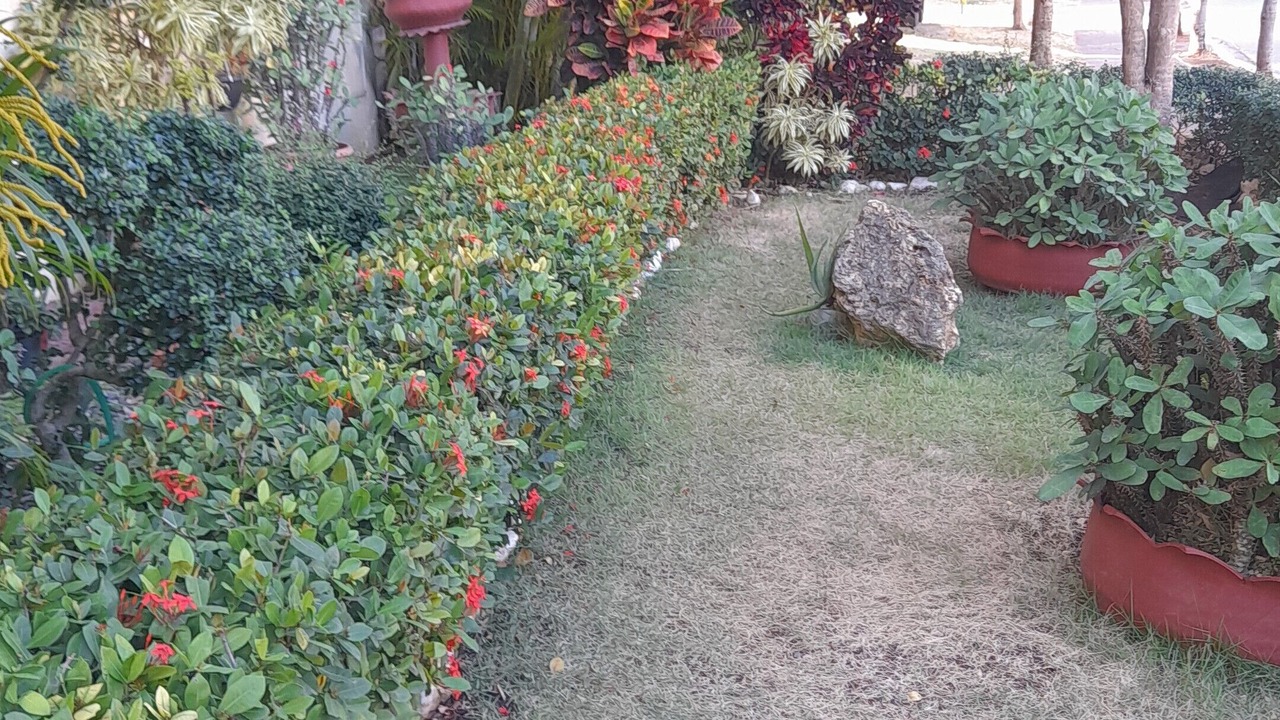 Photo of Outdoor in Santo Domingo Este