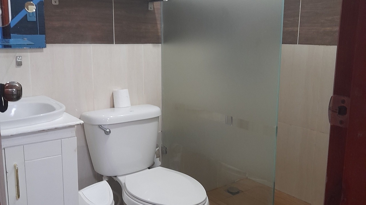 Photo of Bathroom in Santo Domingo Este
