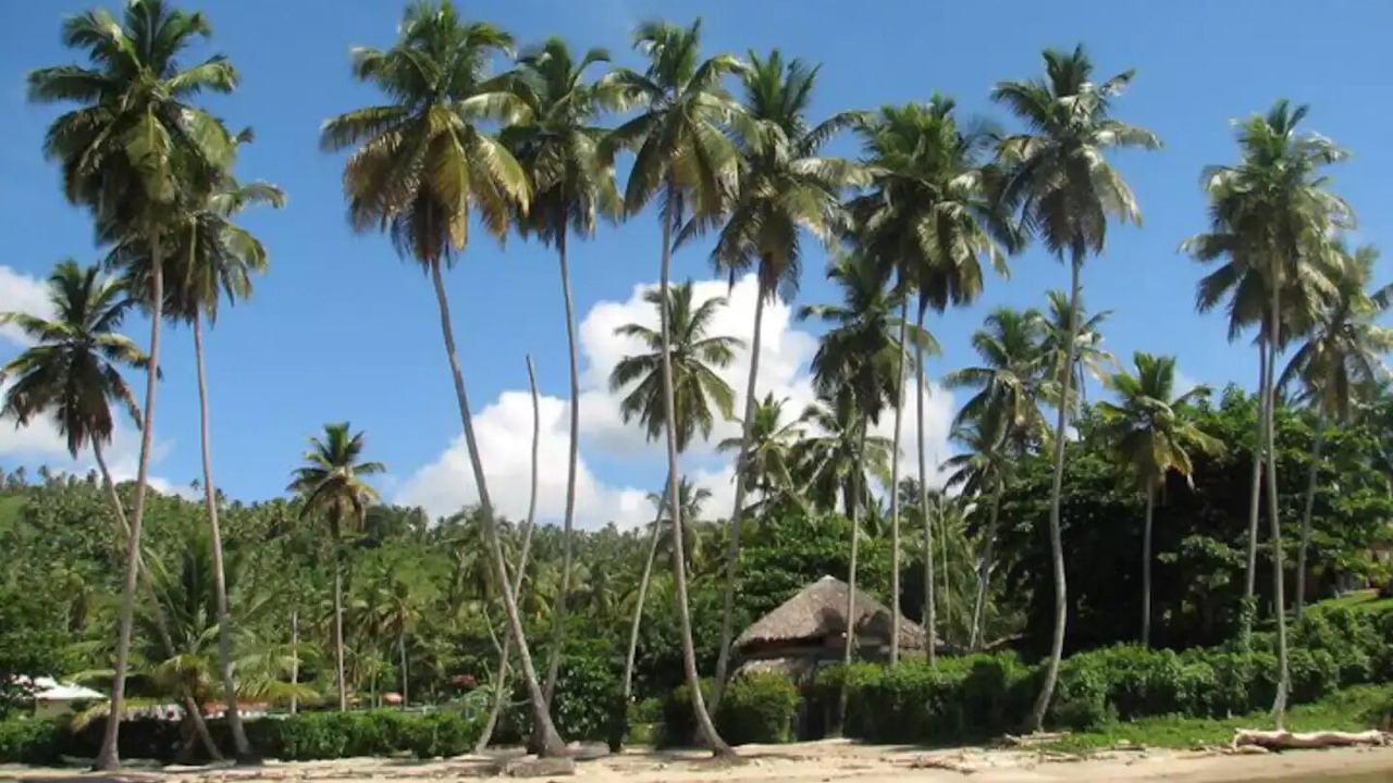 Photo of Others in Sanchez