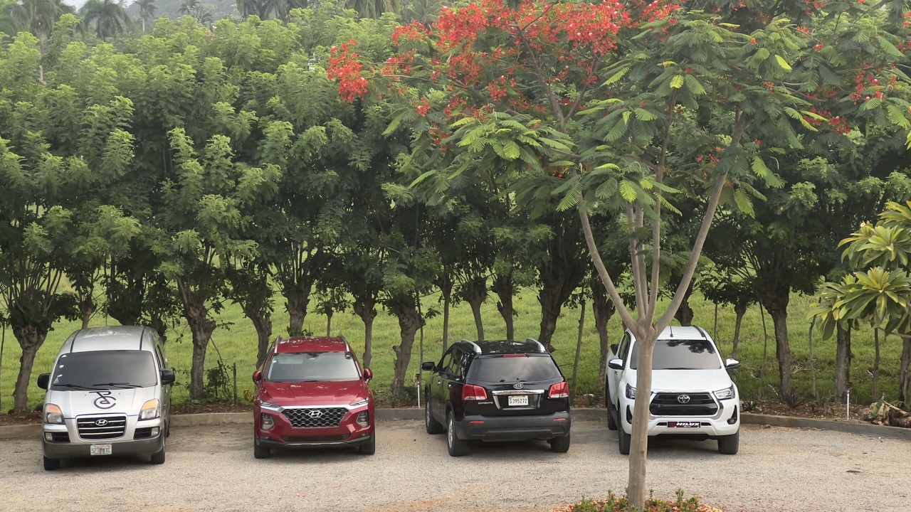 Photo of Outdoor in Cabrera